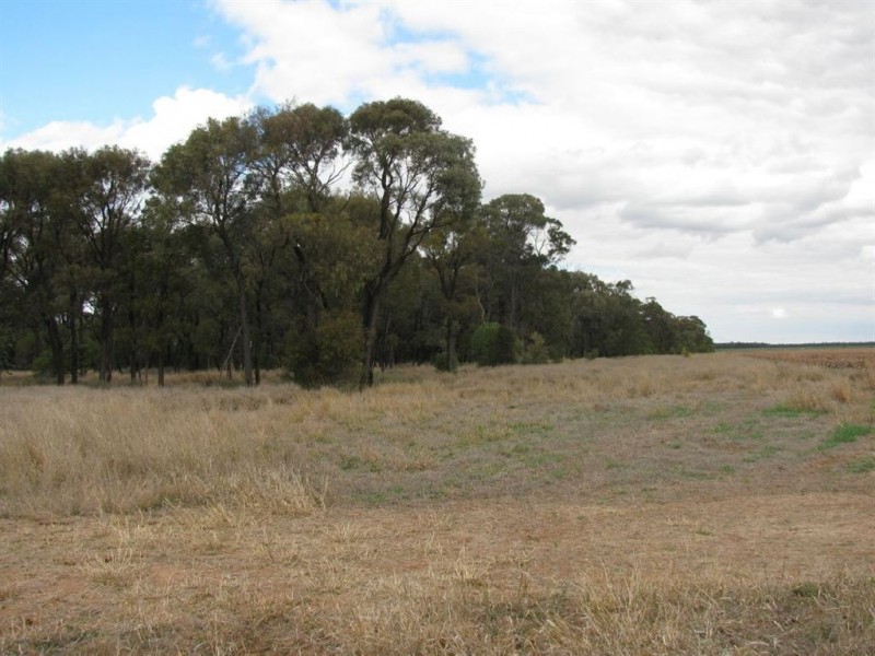 - Woodlands and Karreel, Condamine QLD 4416
