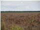 - Woodlands and Karreel, Condamine QLD 4416