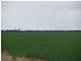 - Woodlands and Karreel, Condamine QLD 4416