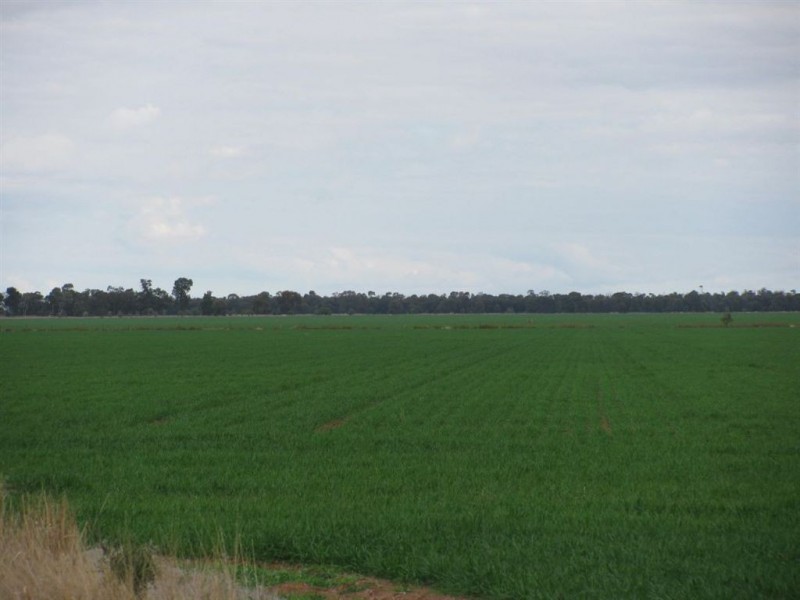 - Woodlands and Karreel, Condamine QLD 4416