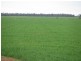 - Woodlands and Karreel, Condamine QLD 4416