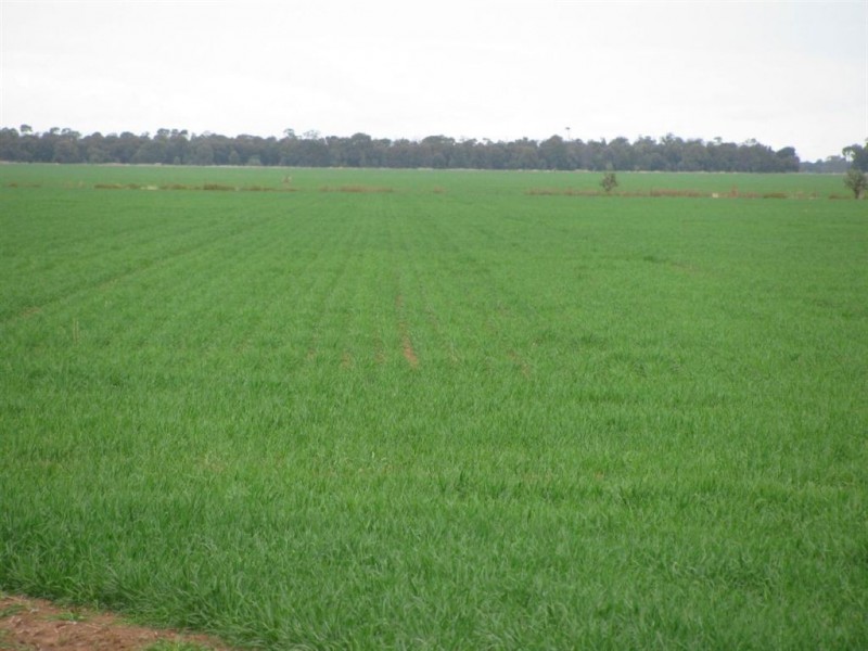 - Woodlands and Karreel, Condamine QLD 4416
