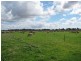 - Forest Hill-Fernvale Rd, Mount Tarampa QLD 4311