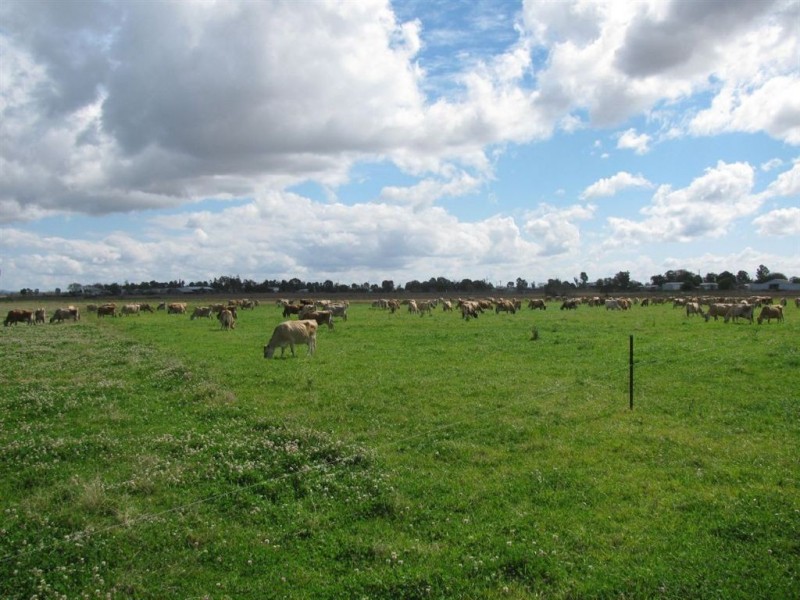 - Forest Hill-Fernvale Rd, Mount Tarampa QLD 4311