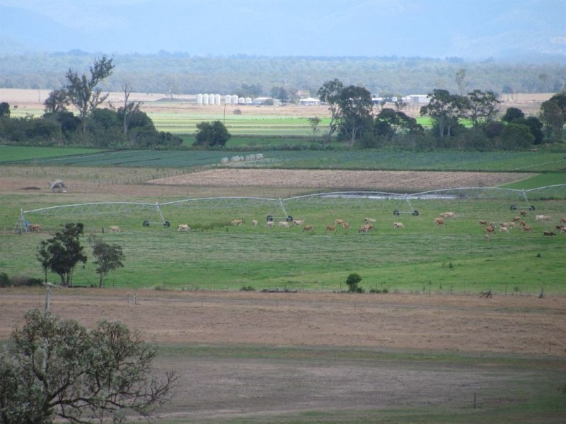 - Forest Hill-Fernvale Rd, Mount Tarampa QLD 4311
