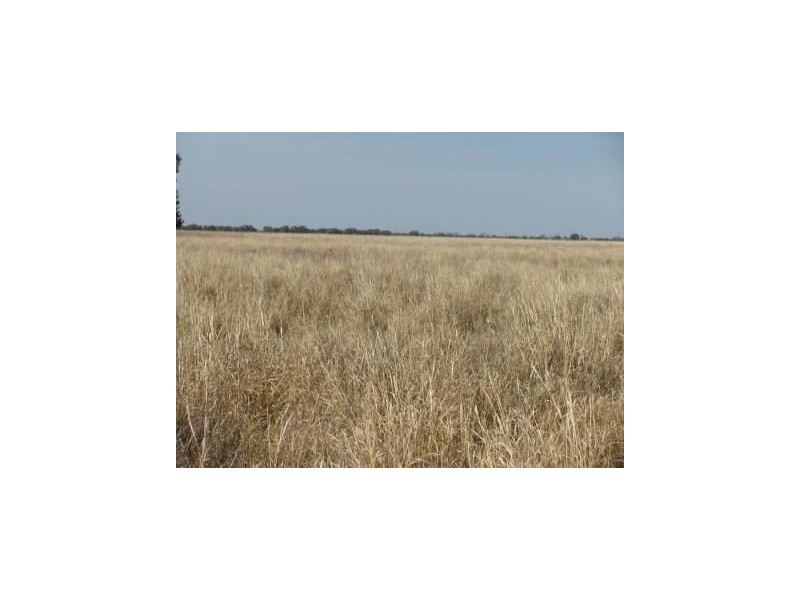 44621 Leichardt Highwayyyyy, The Gums QLD 4406