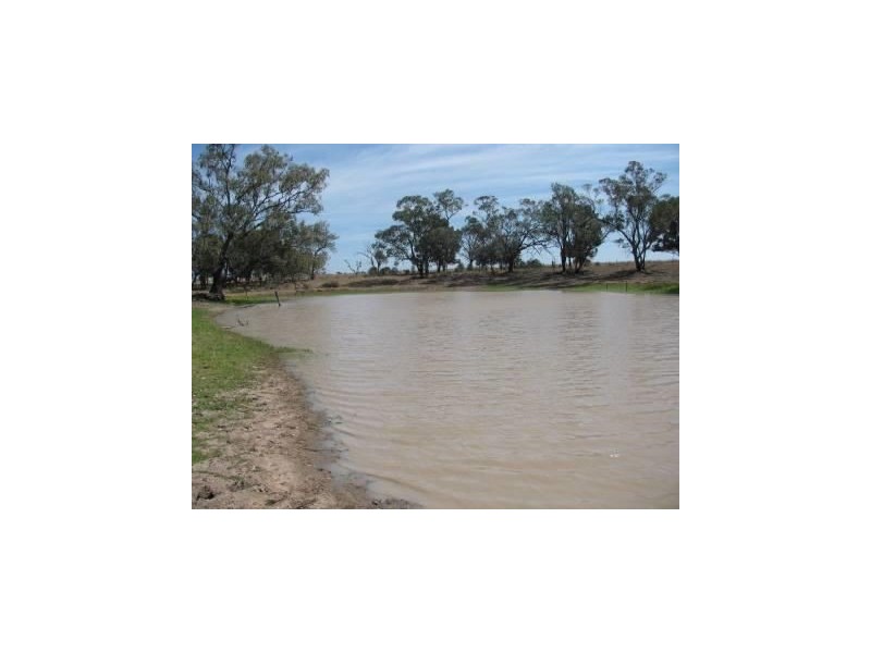 44621 Leichardt Highwayyyyy, The Gums QLD 4406