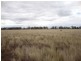 - Cecil Plains Road, Aubigny QLD 4401