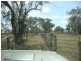 - Cecil Plains Road, Aubigny QLD 4401