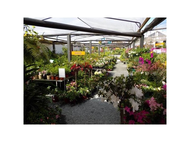 17 Prescott Street, Toowoomba QLD 4350