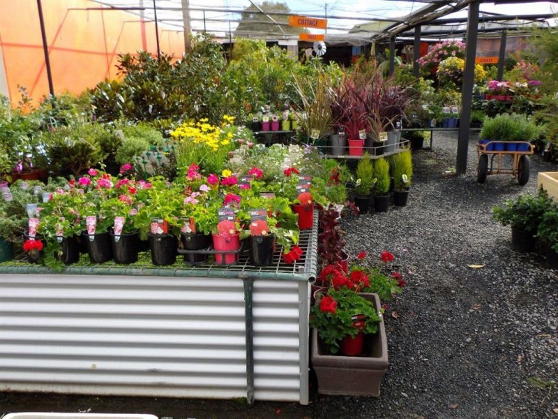 17 Prescott Street, Toowoomba QLD 4350