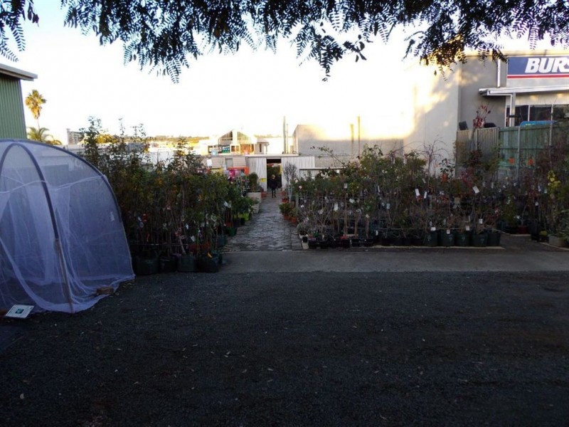 17 Prescott Street, Toowoomba QLD 4350