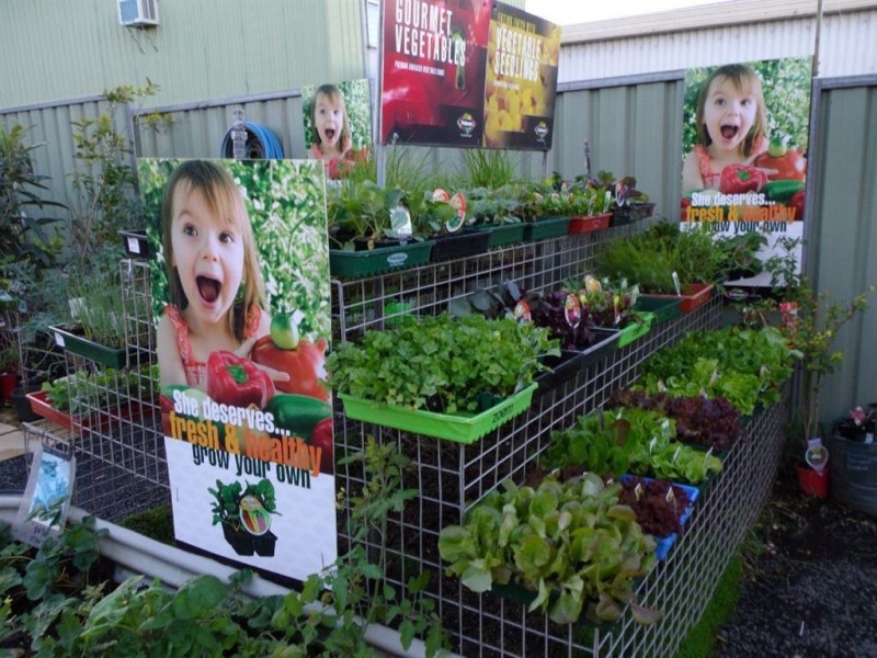 17 Prescott Street, Toowoomba QLD 4350