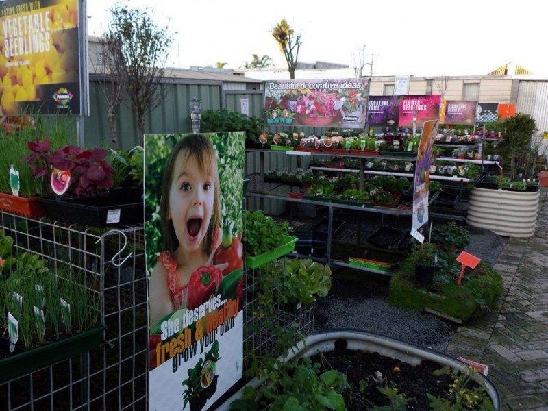 17 Prescott Street, Toowoomba QLD 4350