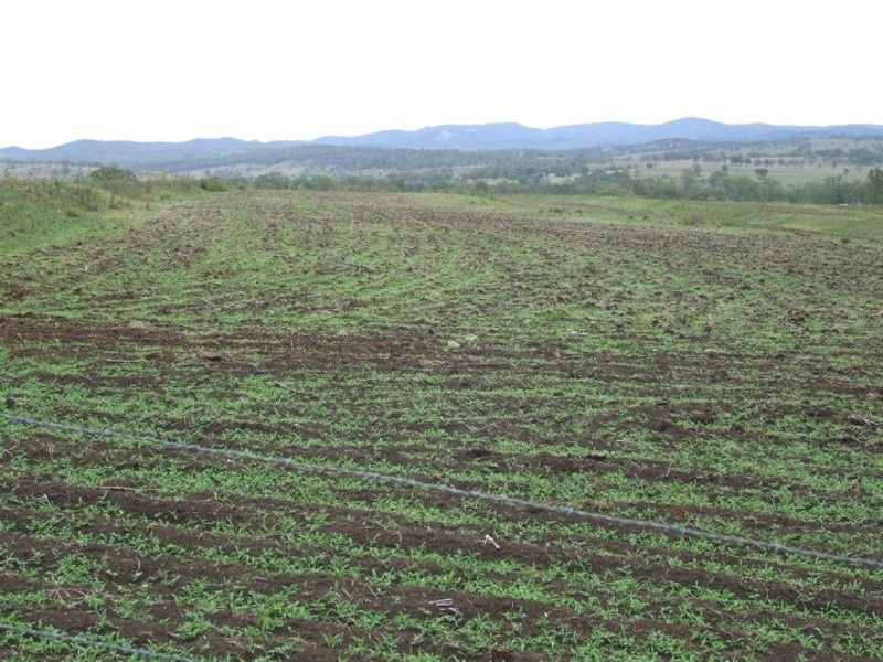 126 Tanduringie School Road, Maidenwell QLD 4615