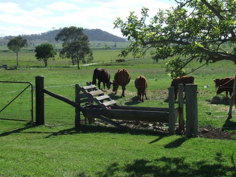 2 Harrow Street, Greenmount QLD 4359