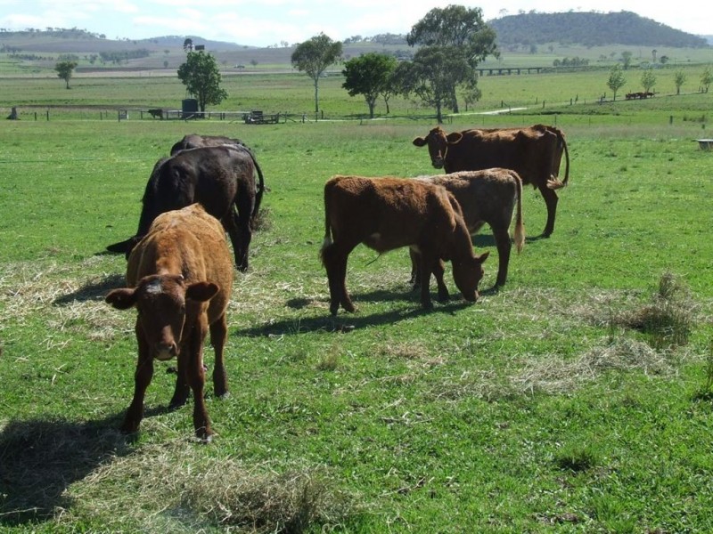 2 Harrow Street, Greenmount QLD 4359