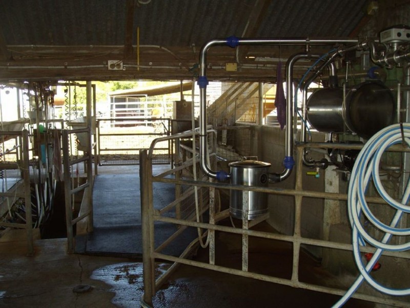 2991 Toowoomba-Karara Road, Felton QLD 4358