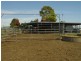 2991 Toowoomba-Karara Road, Felton QLD 4358