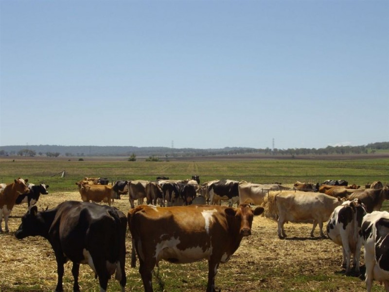 2991 Toowoomba-Karara Road, Felton QLD 4358