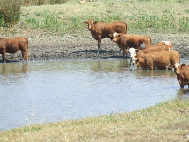 374 Athol School Road, Athol QLD 4350