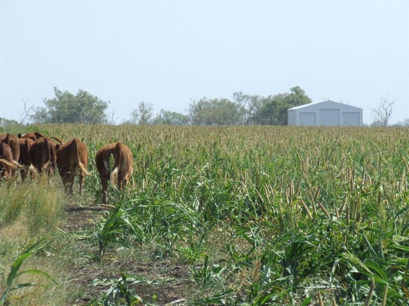 374 Athol School Road, Athol QLD 4350