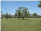 Lot 3116 Pittsworth-Scrubby Road, Pittsworth QLD 4356