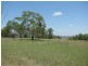 Lot 3116 Pittsworth-Scrubby Road, Pittsworth QLD 4356