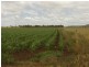 Lot 1 Dare Road, Nobby QLD 4360