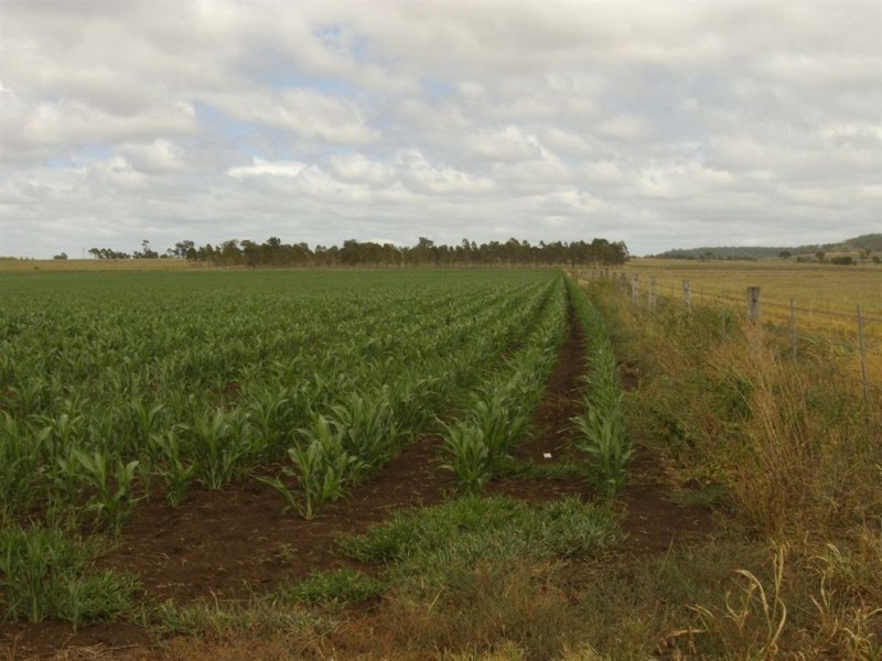 Lot 1 Dare Road, Nobby QLD 4360