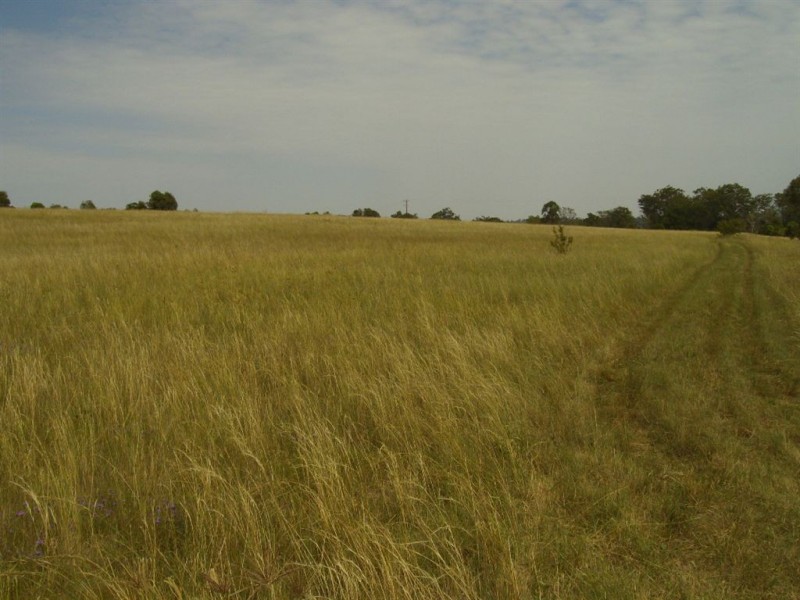 542 Haden – Peranga Road, Haden QLD 4353