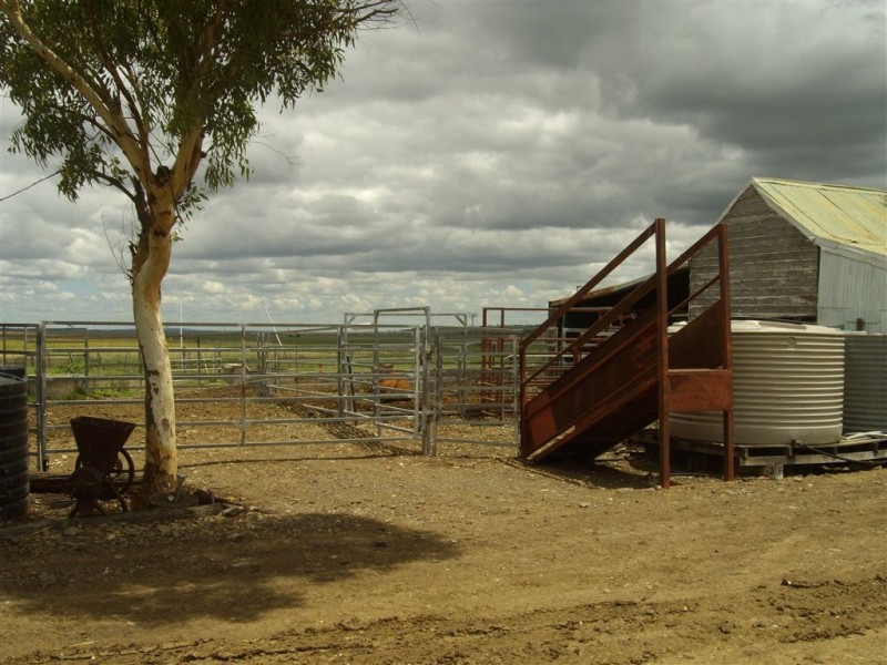 2991 Toowoomba – Karara Road, Felton East QLD 4358