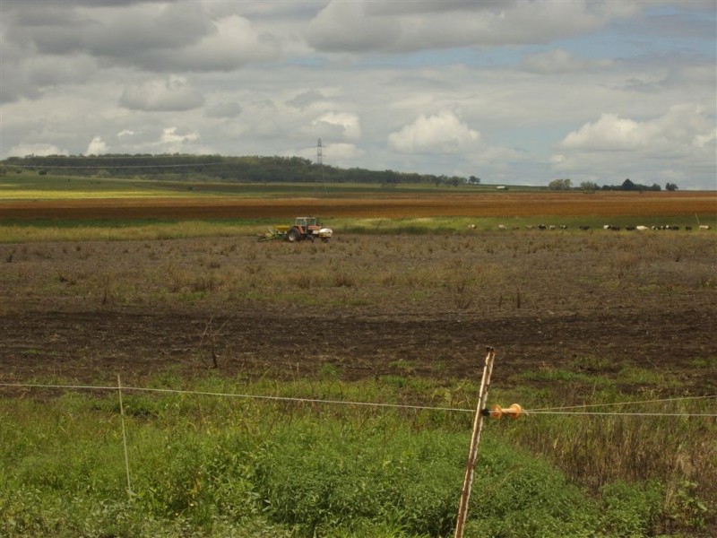 2991 Toowoomba – Karara Road, Felton East QLD 4358