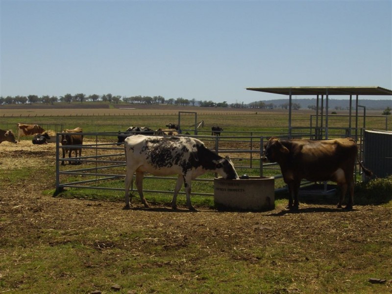 2991 Toowoomba – Karara Road, Felton East QLD 4358