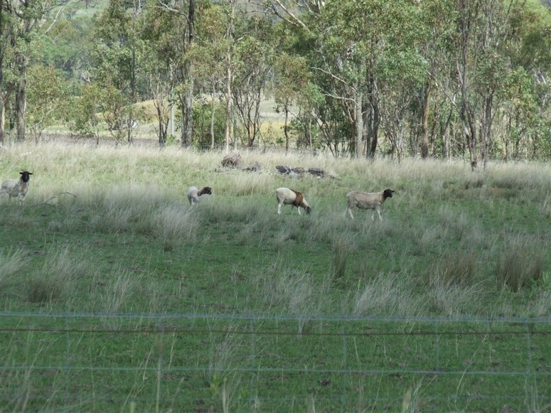 216 Okeefe Road, Ramsay QLD 4358