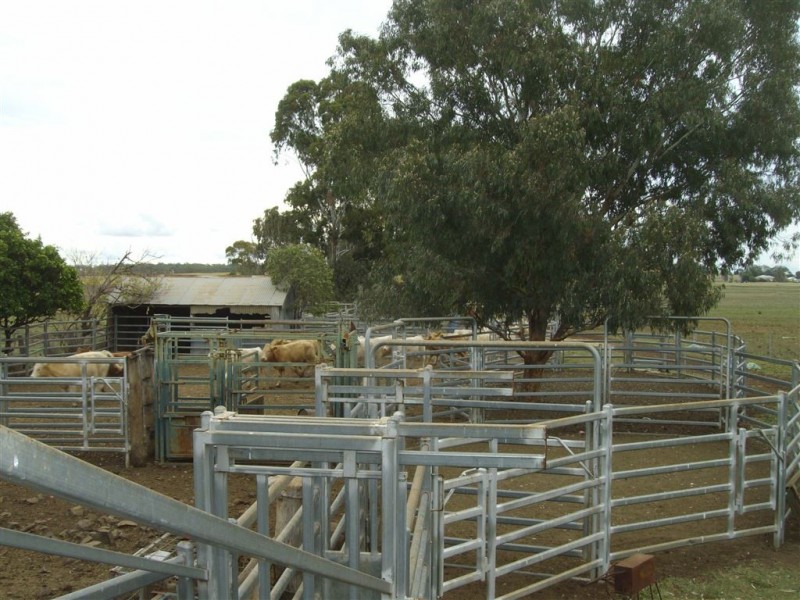 241 Pauli Road, Back Plains QLD 4361