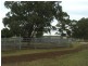 241 Pauli Road, Back Plains QLD 4361