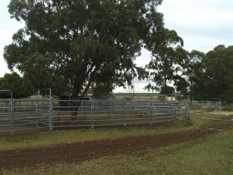 241 Pauli Road, Back Plains QLD 4361