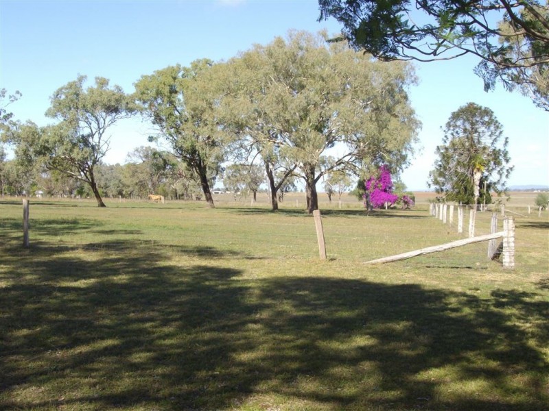 387 Back Plains Road, Felton QLD 4358