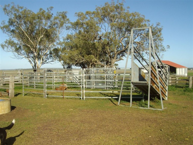 387 Back Plains Road, Felton QLD 4358