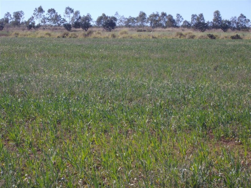 Lot 79 James Road, Goombungee QLD 4354