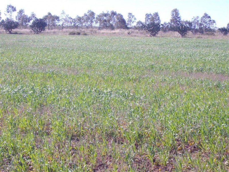 Lot 79 James Road, Goombungee QLD 4354