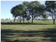 Lot 18 Umbiram School Road, Wyreema QLD 4352