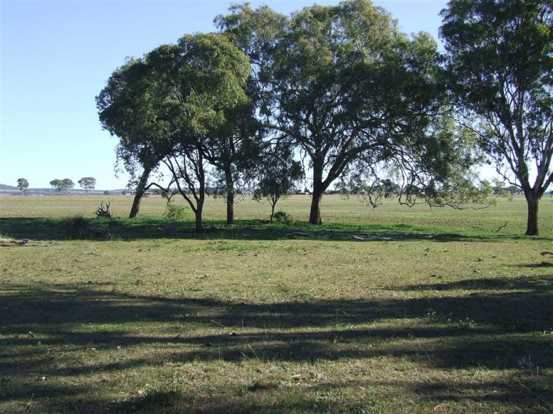 Lot 18 Umbiram School Road, Wyreema QLD 4352