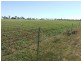 Lot 18 Umbiram School Road, Wyreema QLD 4352