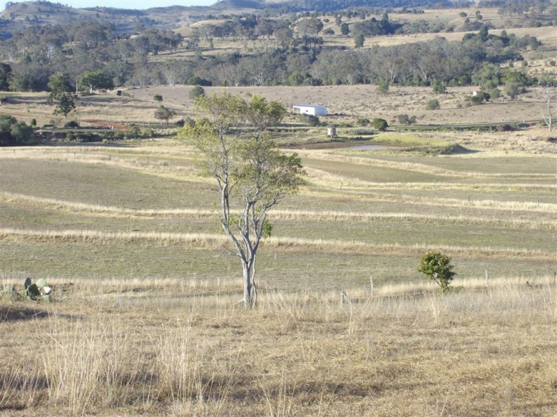 1009 Haden Crows Nest Road, Haden QLD 4353