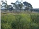 1009 Haden Crows Nest Road, Haden QLD 4353