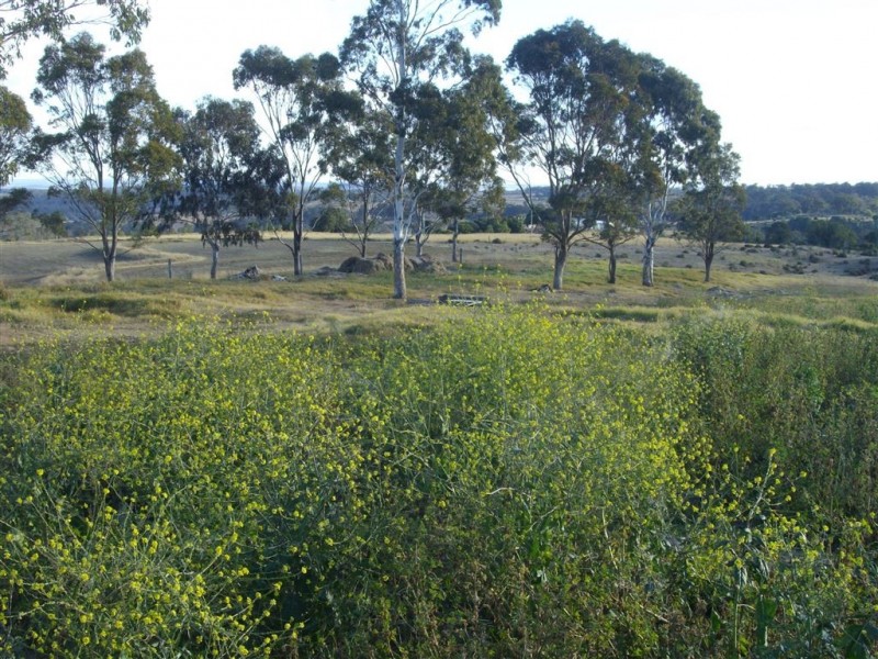 1009 Haden Crows Nest Road, Haden QLD 4353