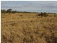 1009 Haden Crows Nest Road, Haden QLD 4353