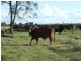 Lot 54 Beebo Seventeen Mile Road, Glenarbon QLD 4385